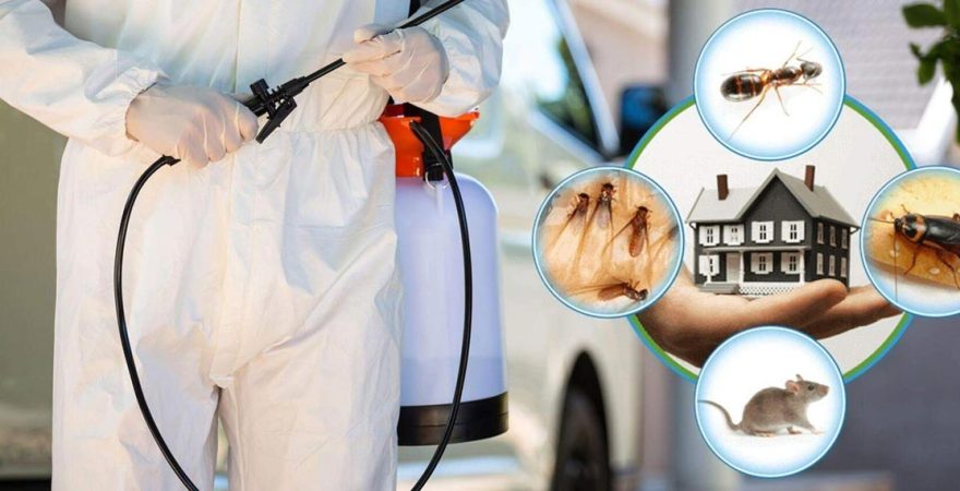 Gediz Böcek İlaçlama