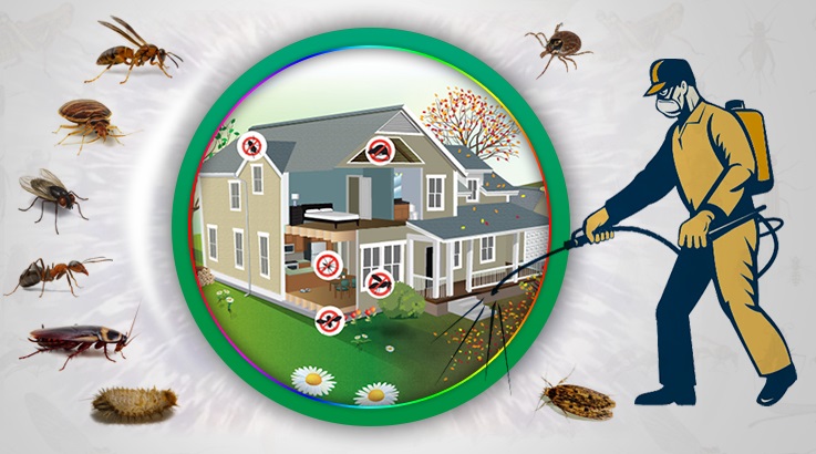 Gediz Böcek İlaçlama