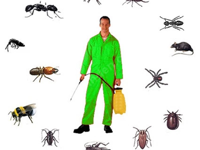 Gediz Böcek İlaçlama